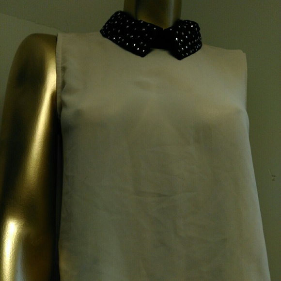 Studded Collar, Sheer  Crop Top - Picture 2 of 2