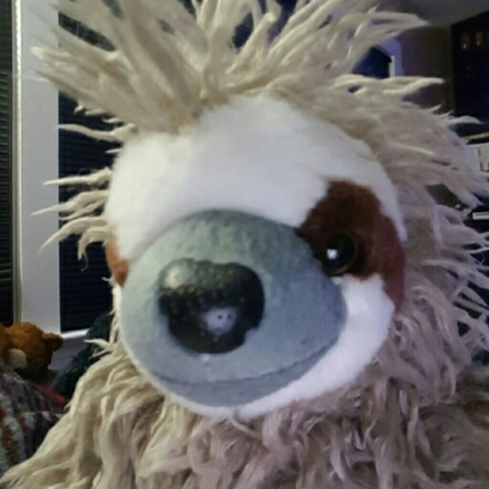 Meet your Posher, Liz