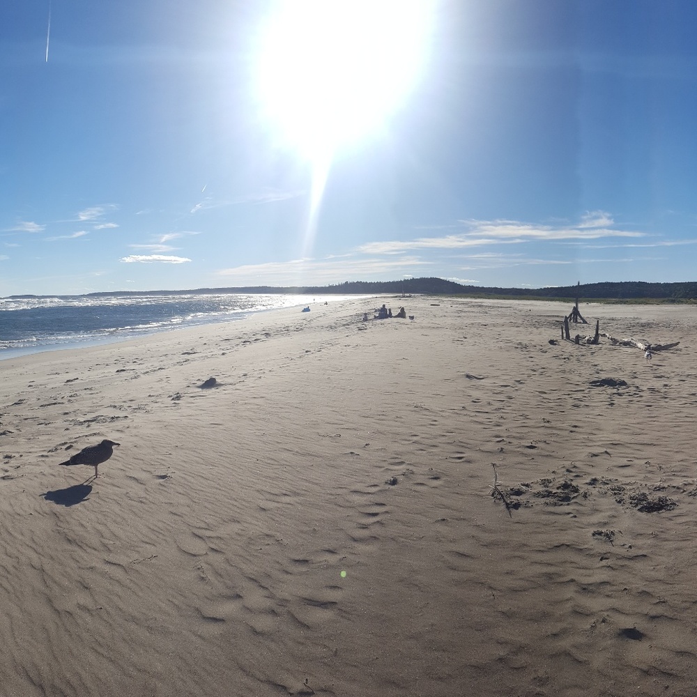 A little bit of everything!