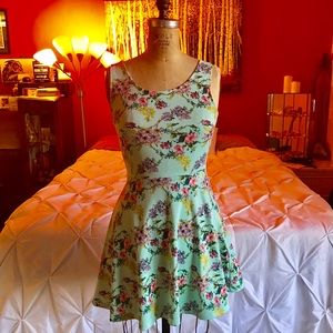 Floral Skater Dress