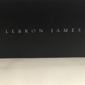 Lebron 12 NSRL