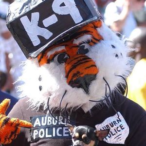 Meet your Posher, Michele