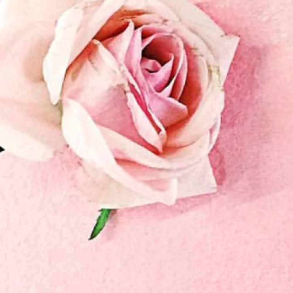 Meet your Posher, Somethingpretty