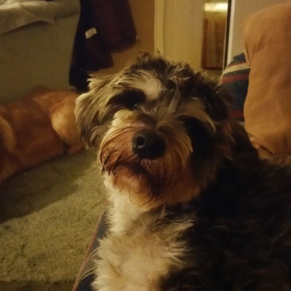 Meet your Posher, Wendy - Picture 1 of 1