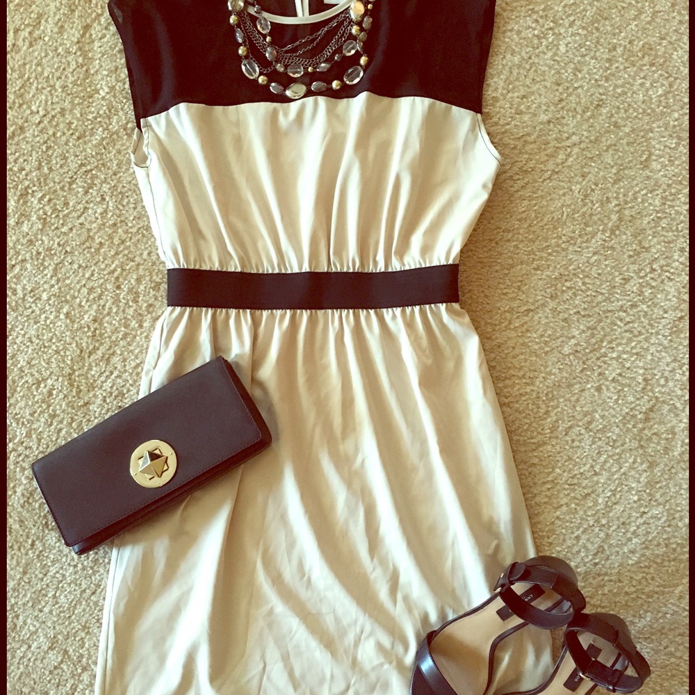 Gorgeous tan sheath dress with black mesh detail