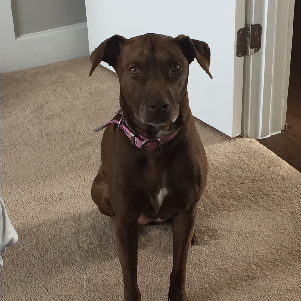 Meet your Posher, Traci