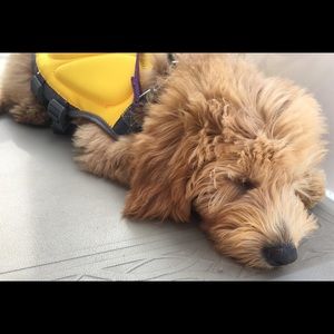 Meet your Posher, Julie