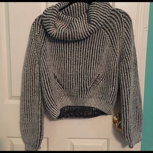 Cropped turtleneck sweater