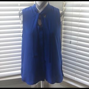 Royal blue blouse