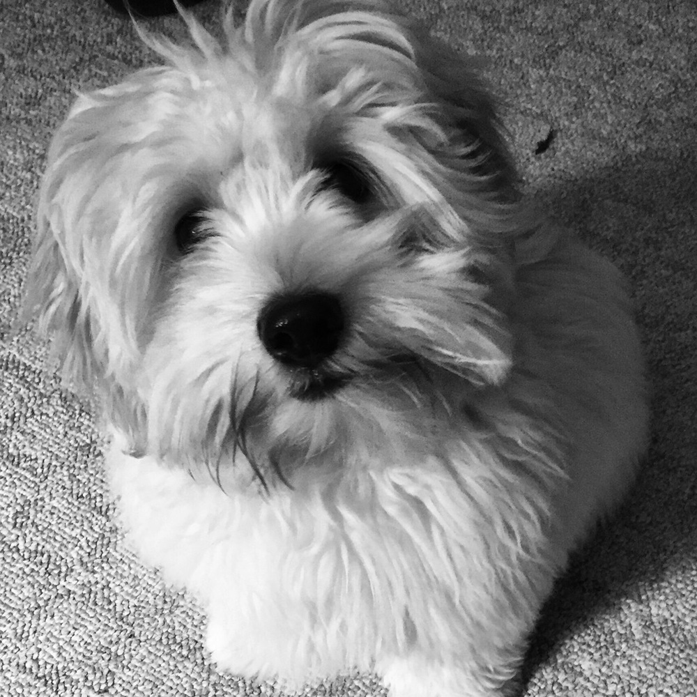 Meet your Posher, Vicky