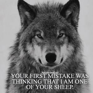 Meet your Posher, Cesar