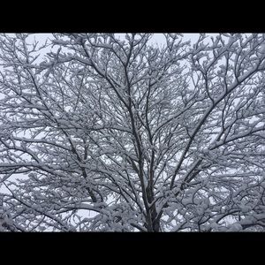 Meet your Posher, Lynne