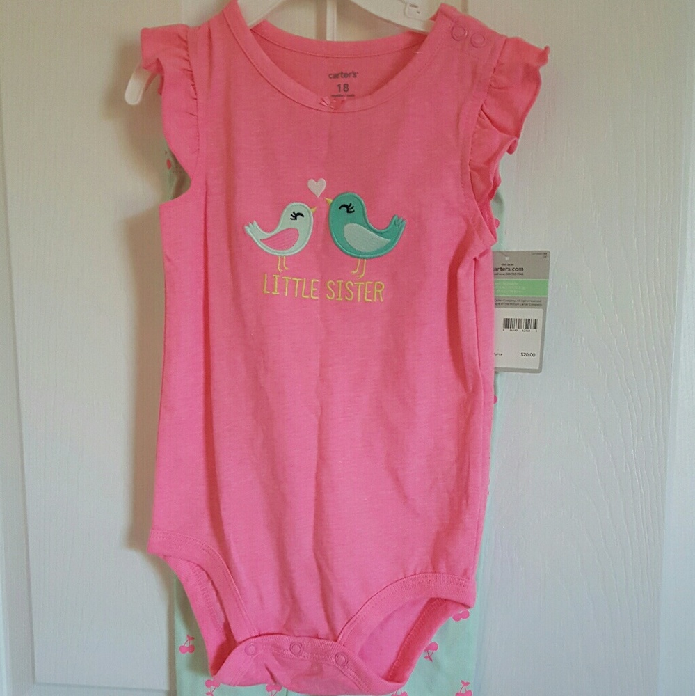 Carter's girl outfit (18 months)