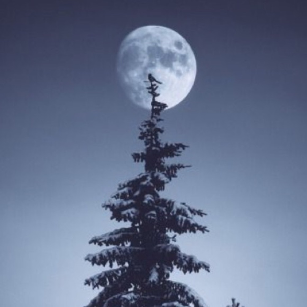 Meet your Posher, Diamond