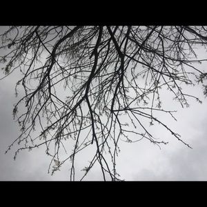 Meet your Posher, Petra