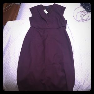 J.Crew super 120s Wool dress