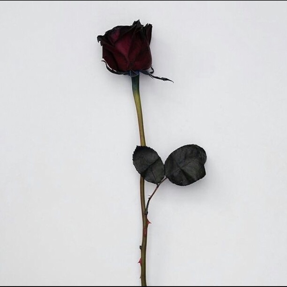 Meet your Posher, Edwin