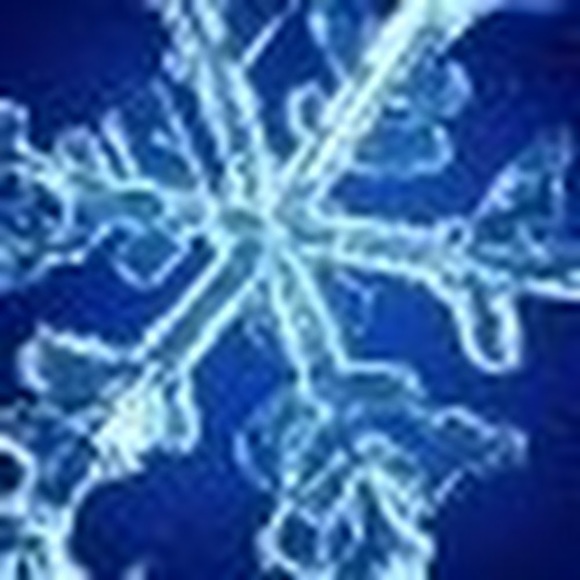 Meet your Posher, Jennifer - Picture 1 of 1