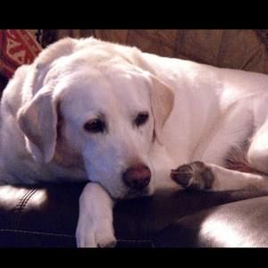 Meet your Posher, Patti