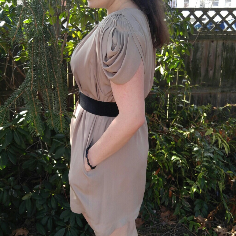 Taupe Silk Mini Shift Dress - Picture 3 of 5