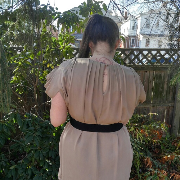 Taupe Silk Mini Shift Dress - Picture 4 of 5