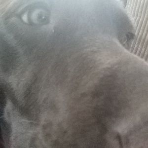 Meet your Posher, Heidi