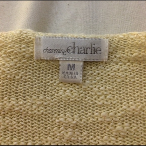 Charming Charlie striped sweater - Picture 3 of 4