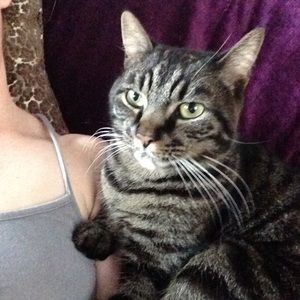 Meet your Posher, Melissa