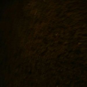 Meet your Posher, Elaine