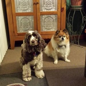 Meet your Posher, Debbie