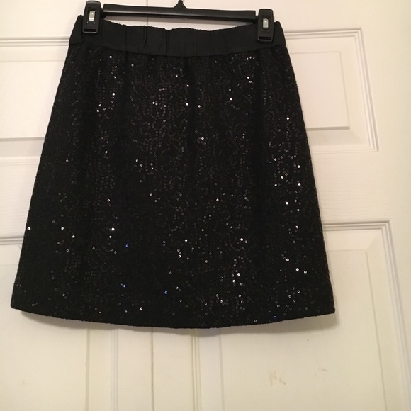 Ann Taylor Loft sparkly back skirt - Picture 1 of 1