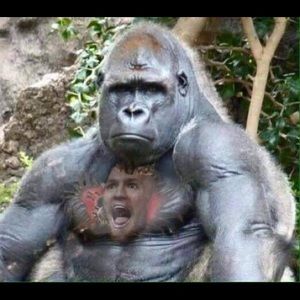 Meet your Posher, Matthew