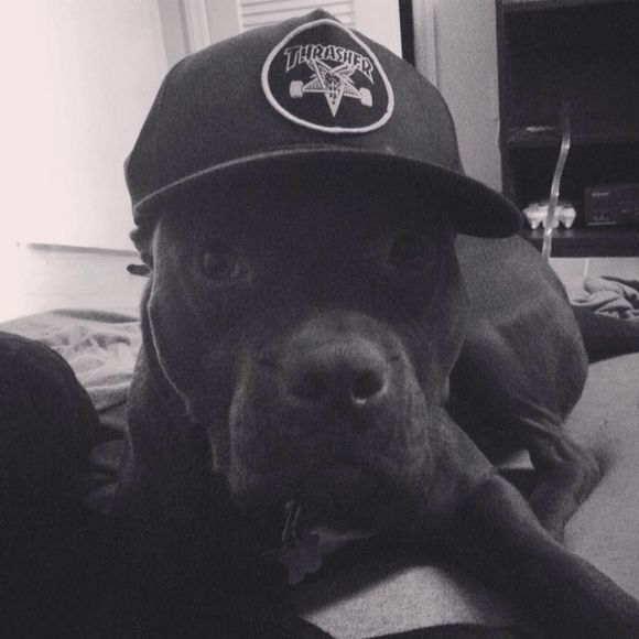 Meet your Posher, Andrew - Picture 1 of 1