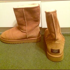 Chestnut ugg boots