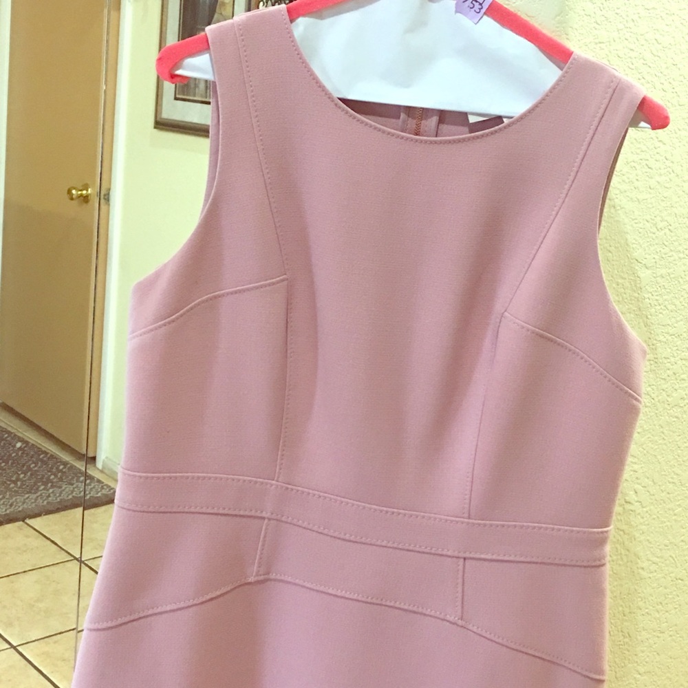 Soft Pink Petite Loft dress size 10p
