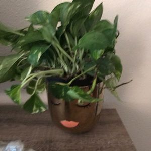 Meet your Posher, Tonya