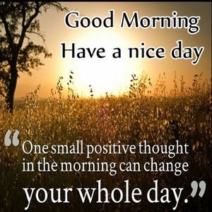 Meet your Posher, Marlon