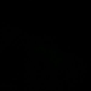 Meet your Posher, Darlene