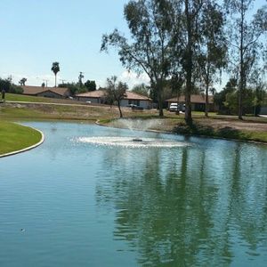 Meet your Posher, Hector