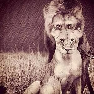 Meet your Posher, Alina