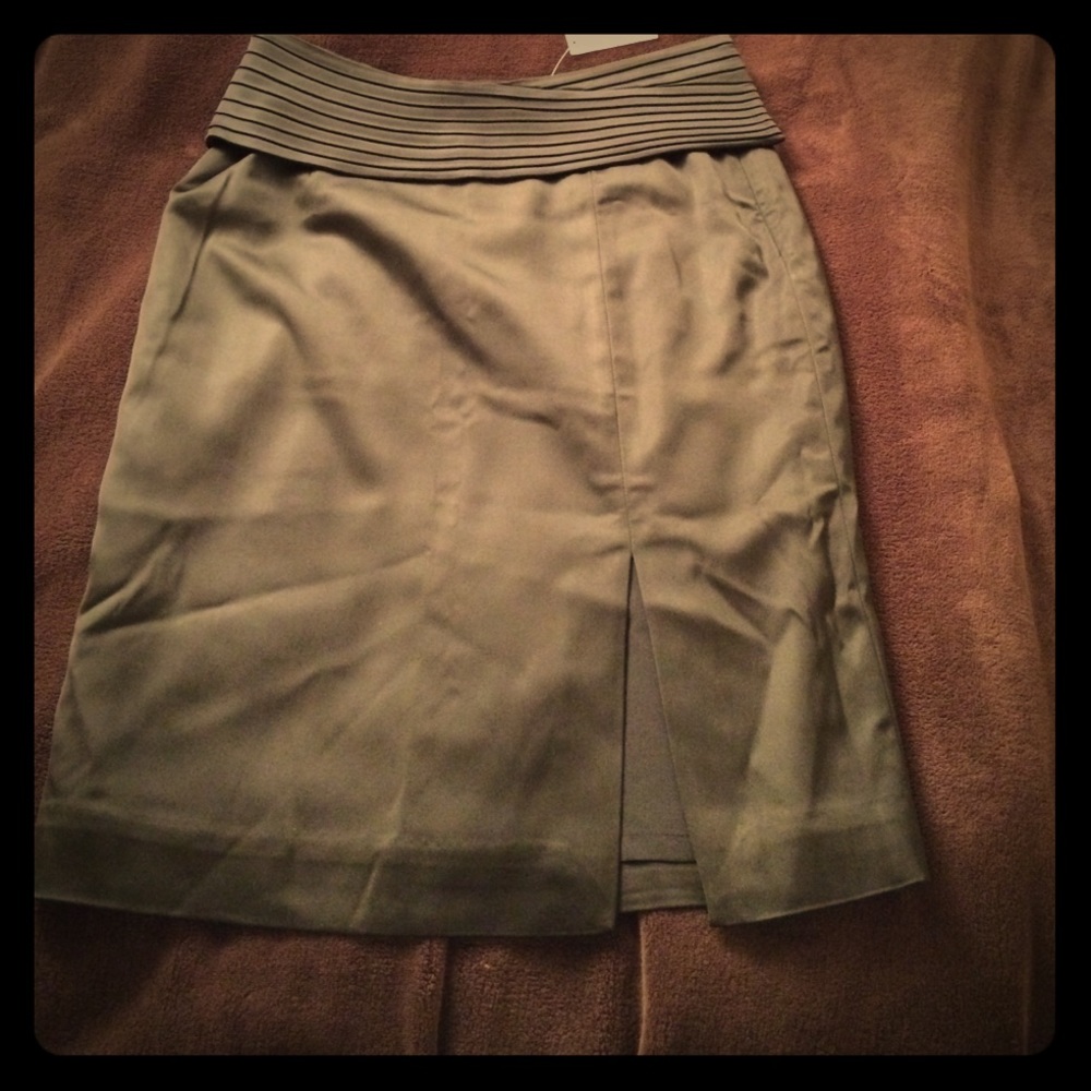 NWT White House Black Market skirt