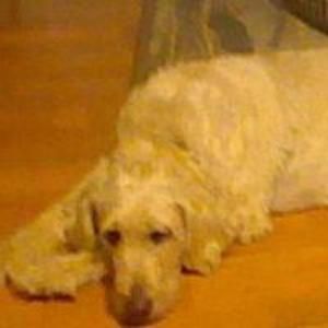 Meet your Posher, Nikki