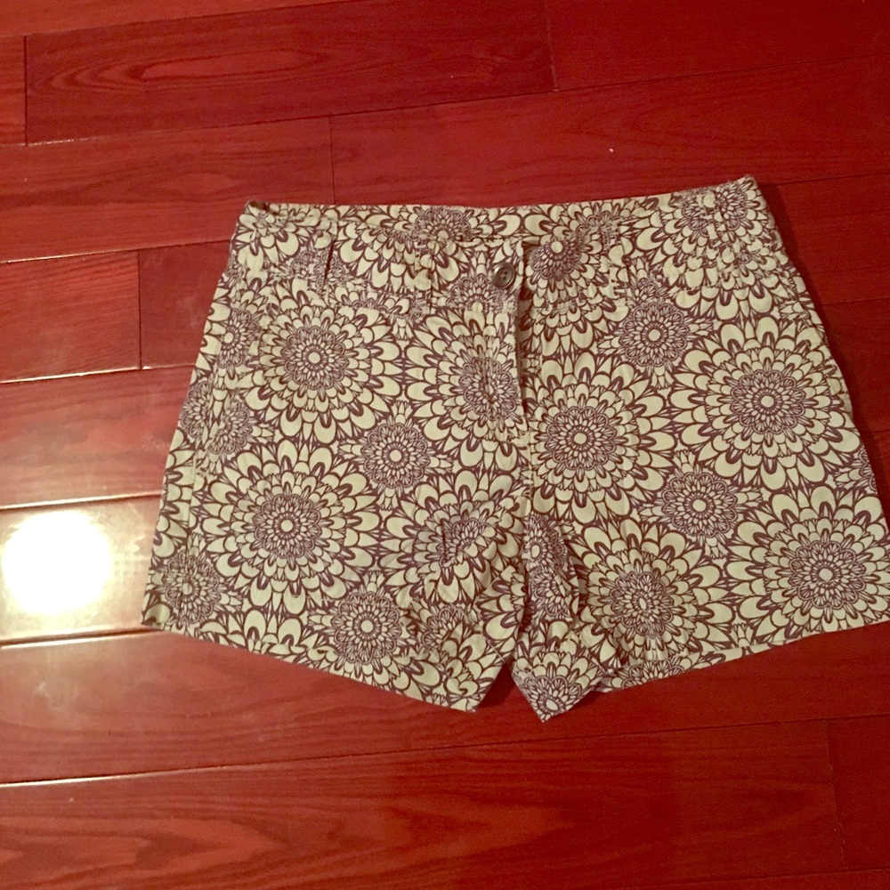 Loft shorts
