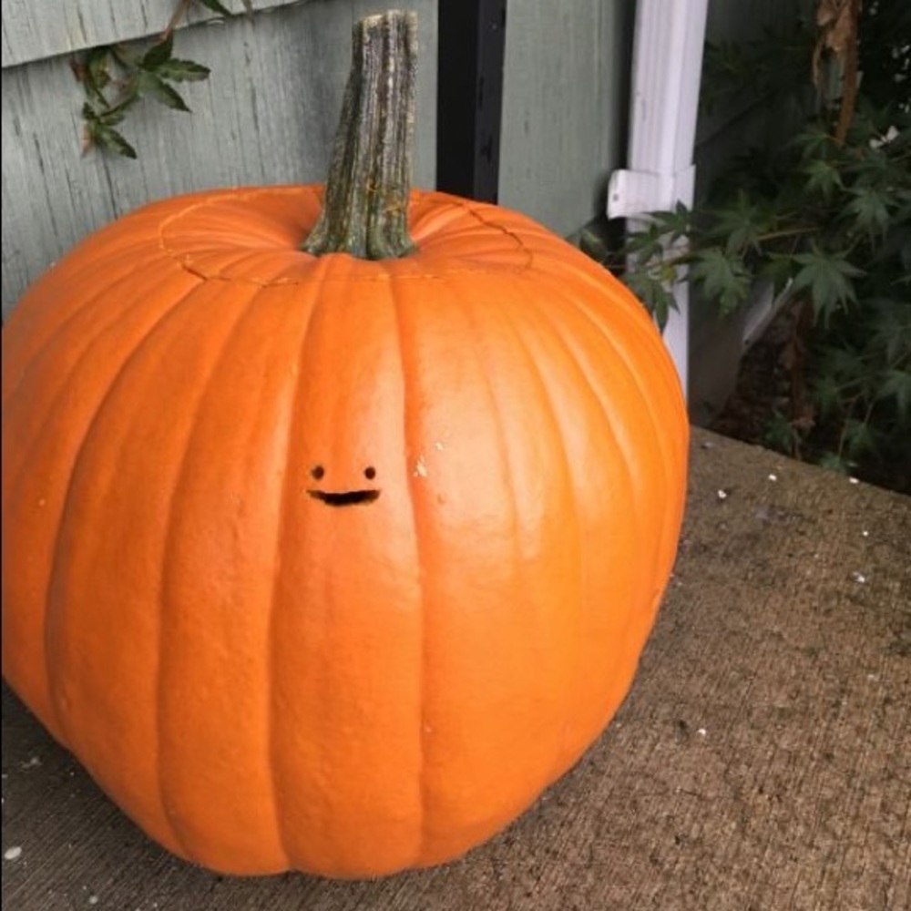 Meet your Posher, Margot