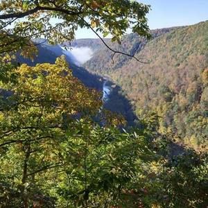 Meet your Posher, Joey