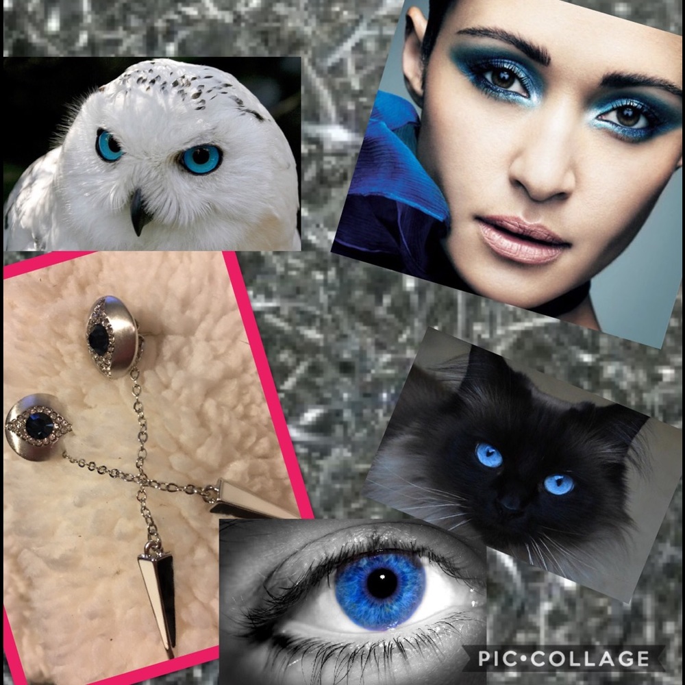 Blue Eyes Viennois Earrings NWOT