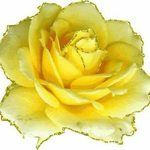 Meet your Posher, Angelina