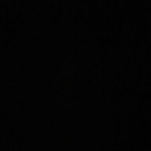 Meet your Posher, Willie