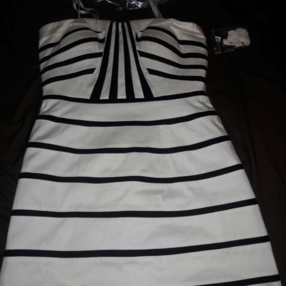Gianni Bini Black and White Dress
