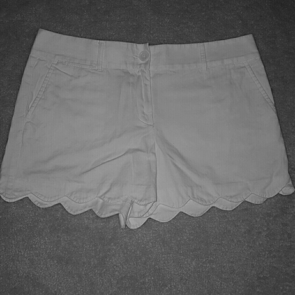 Women's Shorts - Loft